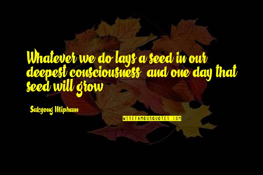 Georgios San Jose Quotes By Sakyong Mipham: Whatever we do lays a seed in our