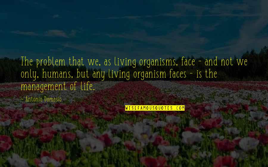 Gerrick Electric Morgantown Quotes By Antonio Damasio: The problem that we, as living organisms, face