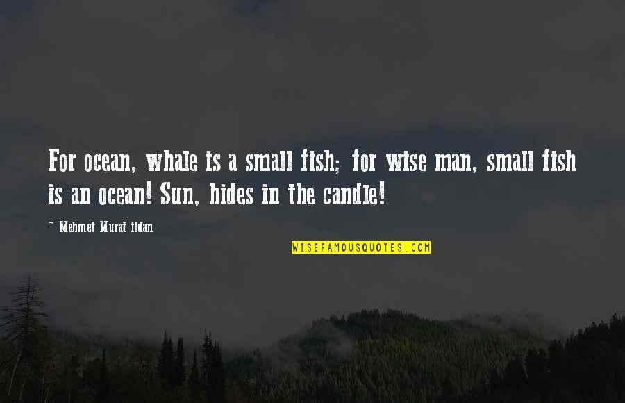 Gertrude Ederle Quotes By Mehmet Murat Ildan: For ocean, whale is a small fish; for