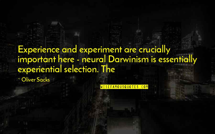 Geschichten Aus Quotes By Oliver Sacks: Experience and experiment are crucially important here -