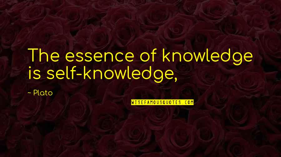 Getting The One You Want Quotes By Plato: The essence of knowledge is self-knowledge,