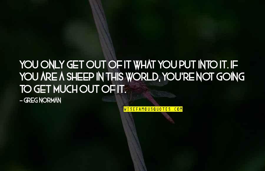 Ghareeb E Quotes By Greg Norman: You only get out of it what you