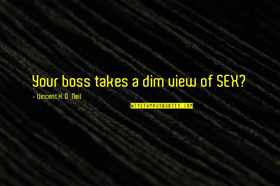 Girlfriend I Love You Quotes By Vincent H. O'Neil: Your boss takes a dim view of SEX?