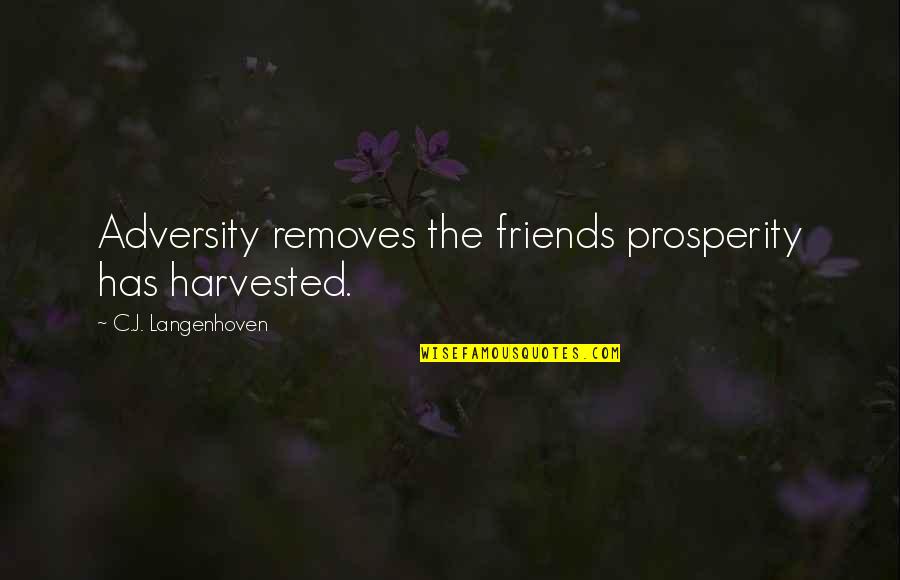 Girls Will Be Clothing Quotes By C.J. Langenhoven: Adversity removes the friends prosperity has harvested.