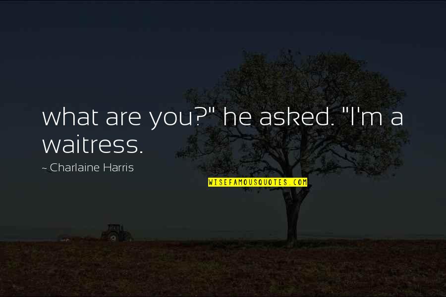 Gitmeid Law Quotes By Charlaine Harris: what are you?" he asked. "I'm a waitress.