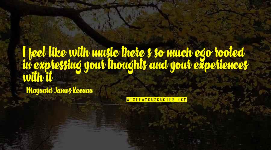 Give Me A Last Chance Quotes By Maynard James Keenan: I feel like with music there's so much