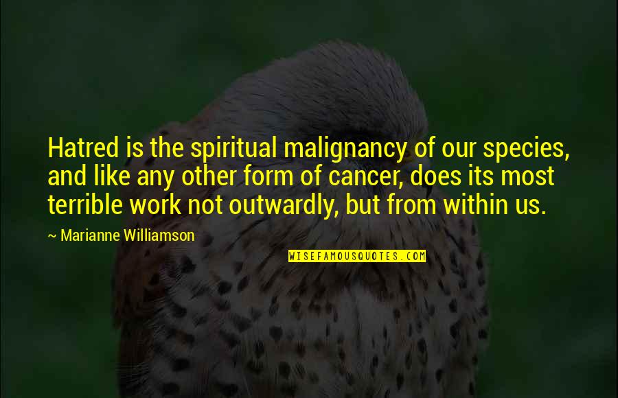 Giving Back To Earth Quotes By Marianne Williamson: Hatred is the spiritual malignancy of our species,