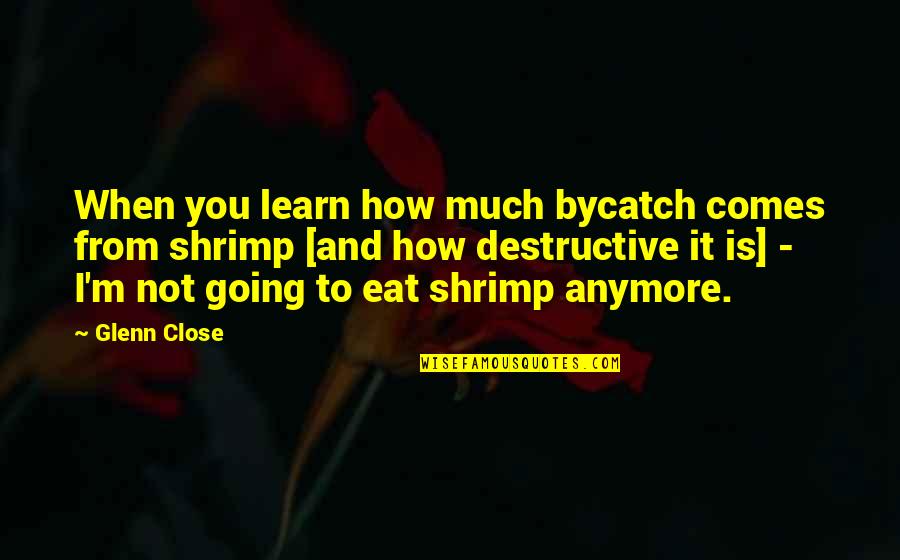 Glenn Close Quotes By Glenn Close: When you learn how much bycatch comes from