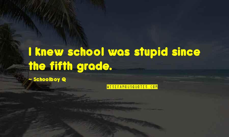 Gleybert Gomes Quotes By Schoolboy Q: I knew school was stupid since the fifth
