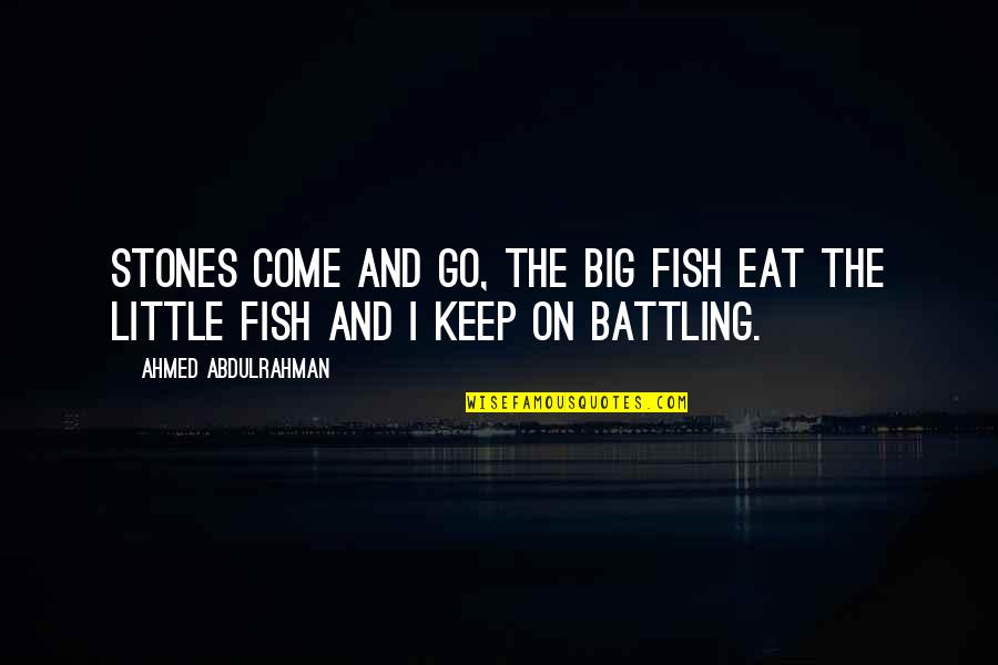 Go Fish Quotes By Ahmed Abdulrahman: Stones Come And Go, The Big Fish Eat