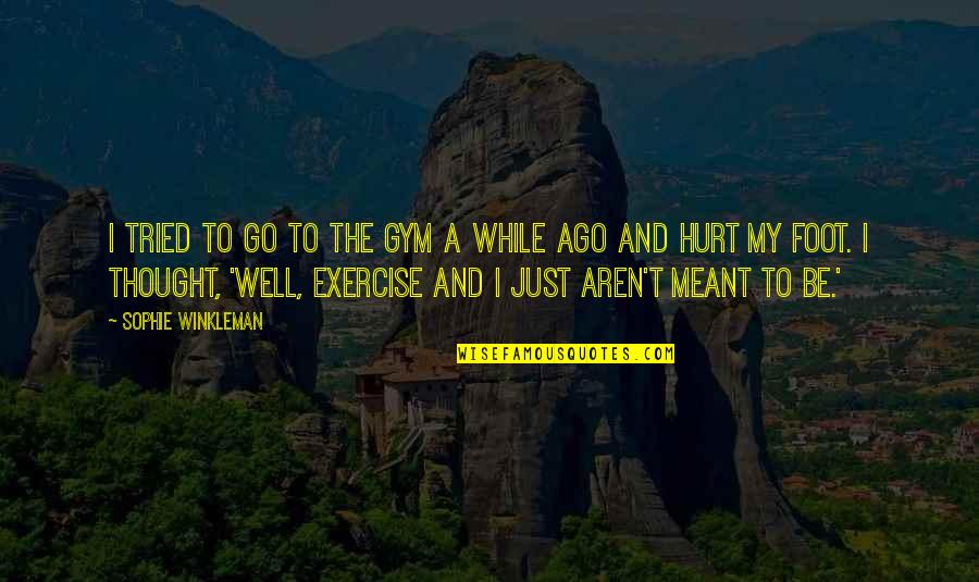 Go To Gym Quotes By Sophie Winkleman: I tried to go to the gym a