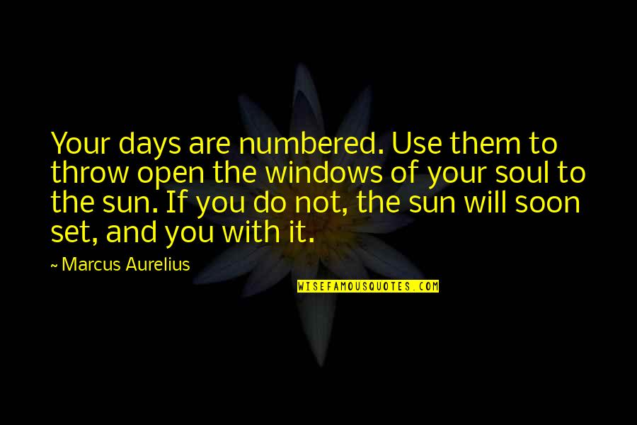 Goals And Life Quotes By Marcus Aurelius: Your days are numbered. Use them to throw