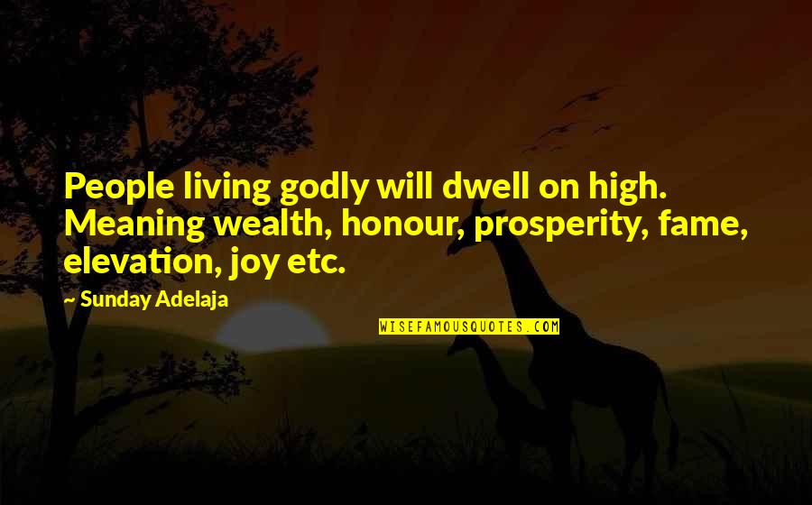 Godly People Quotes By Sunday Adelaja: People living godly will dwell on high. Meaning