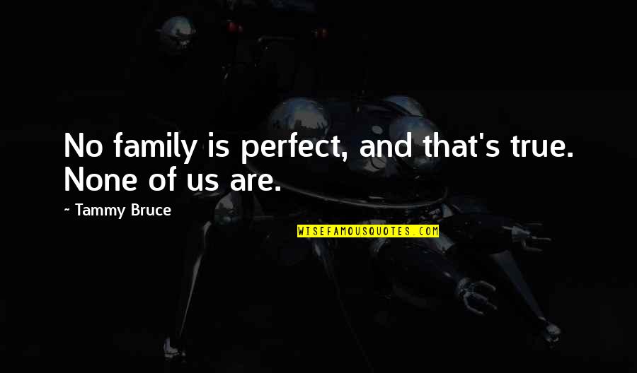 Goede Reis Quotes By Tammy Bruce: No family is perfect, and that's true. None