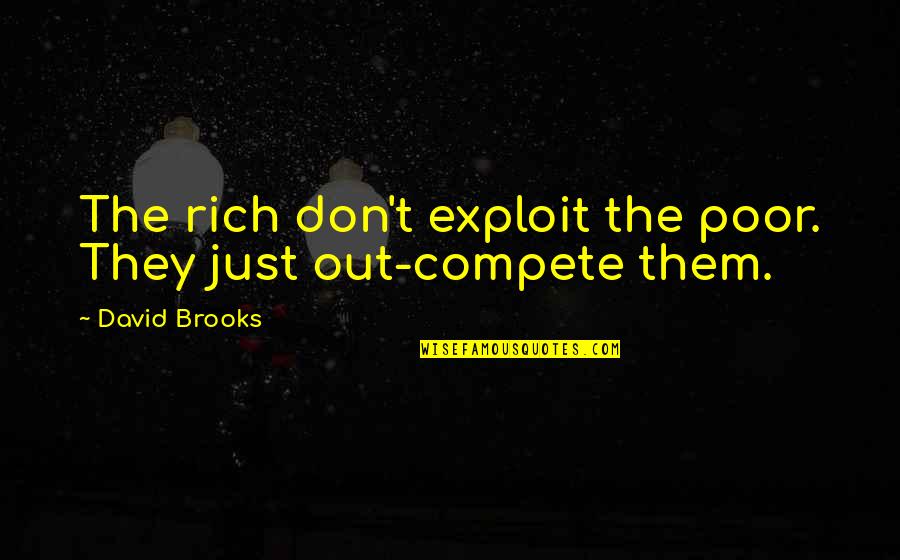 Goldfluss Quotes By David Brooks: The rich don't exploit the poor. They just