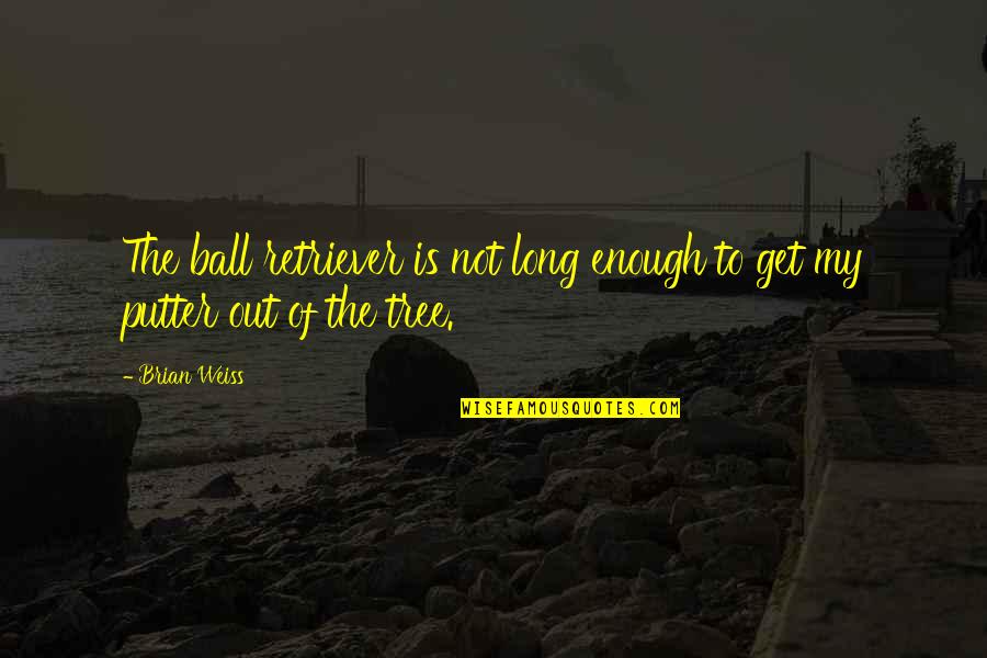 Golf Ball Quotes By Brian Weiss: The ball retriever is not long enough to