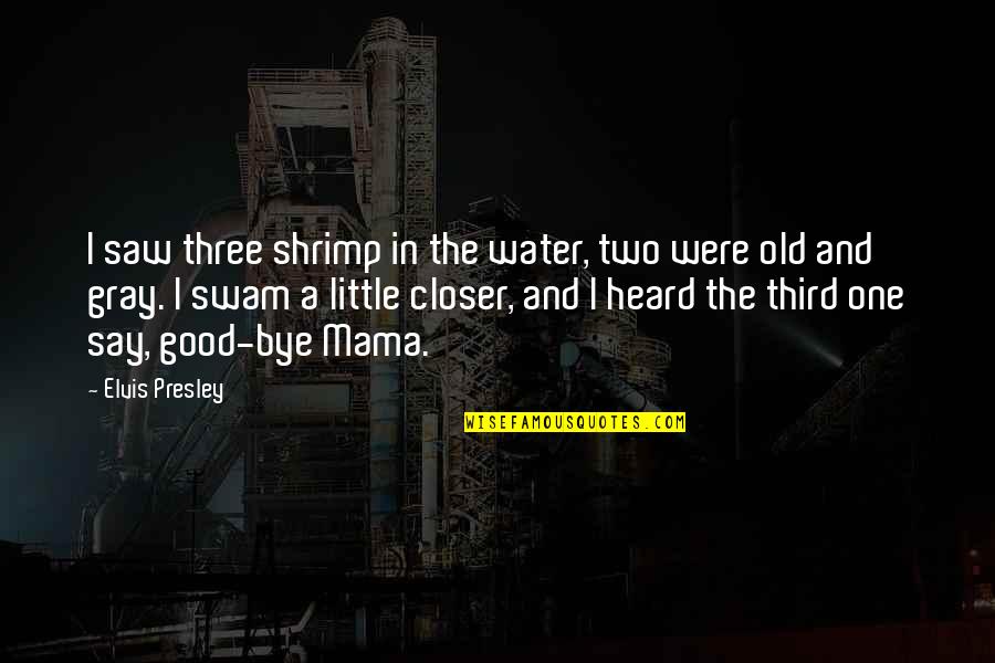 Good Animal Quotes By Elvis Presley: I saw three shrimp in the water, two