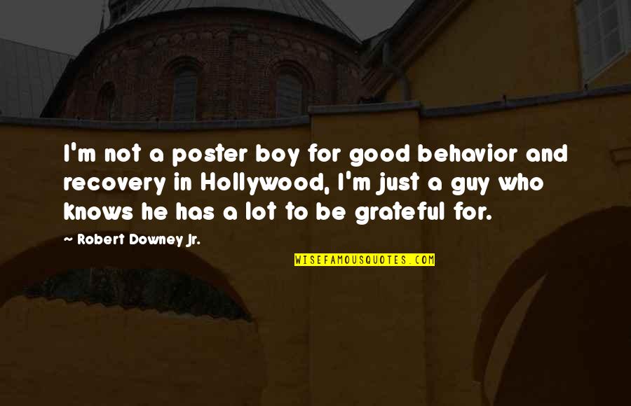 Good Behavior Quotes By Robert Downey Jr.: I'm not a poster boy for good behavior