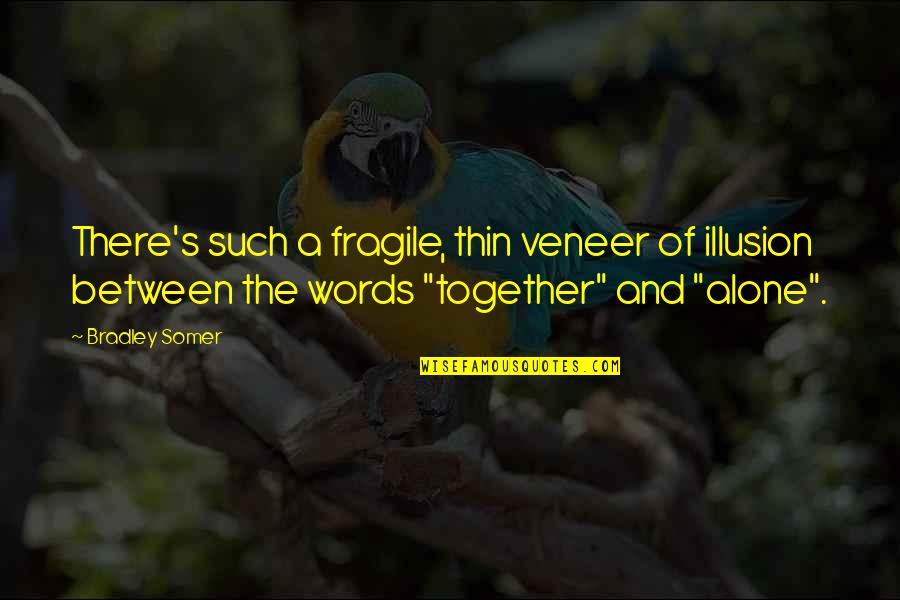 Good Day Sir Quotes By Bradley Somer: There's such a fragile, thin veneer of illusion