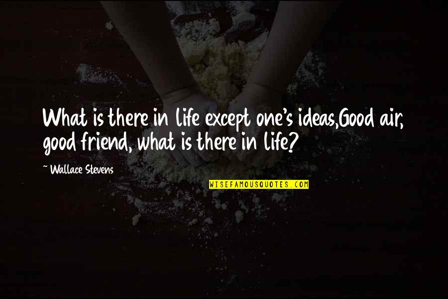 Good Friend Life Quotes By Wallace Stevens: What is there in life except one's ideas,Good