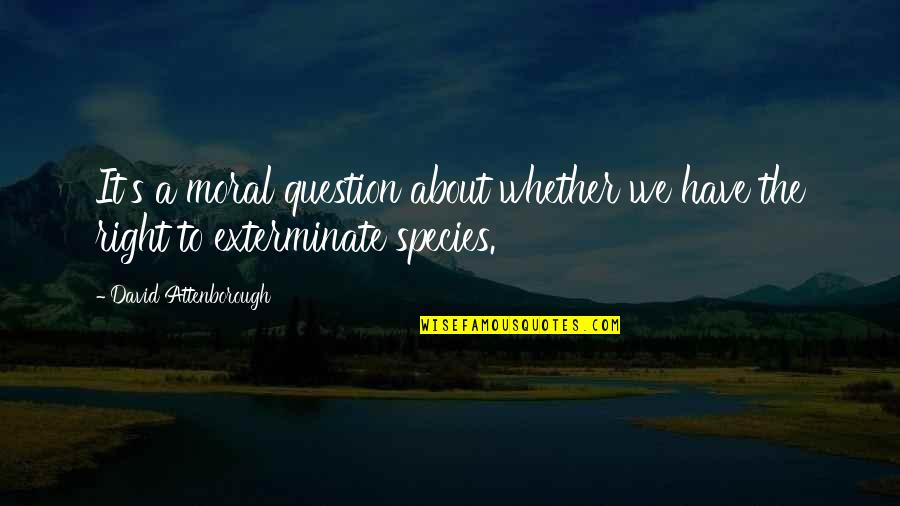 Good Handstand Quotes By David Attenborough: It's a moral question about whether we have