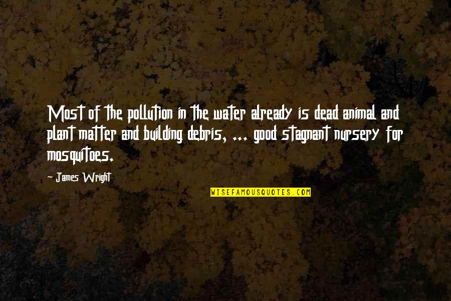 Good Plant Quotes By James Wright: Most of the pollution in the water already