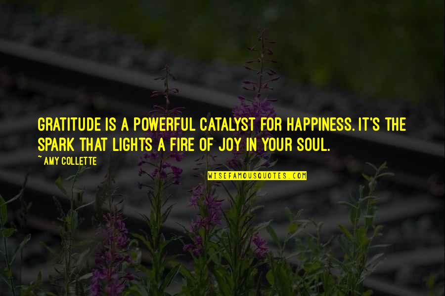 Goodfellas Jimmy Conway Quotes By Amy Collette: Gratitude is a powerful catalyst for happiness. It's