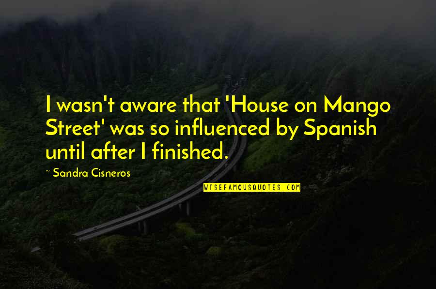 Goodwill Ambassador Quotes By Sandra Cisneros: I wasn't aware that 'House on Mango Street'