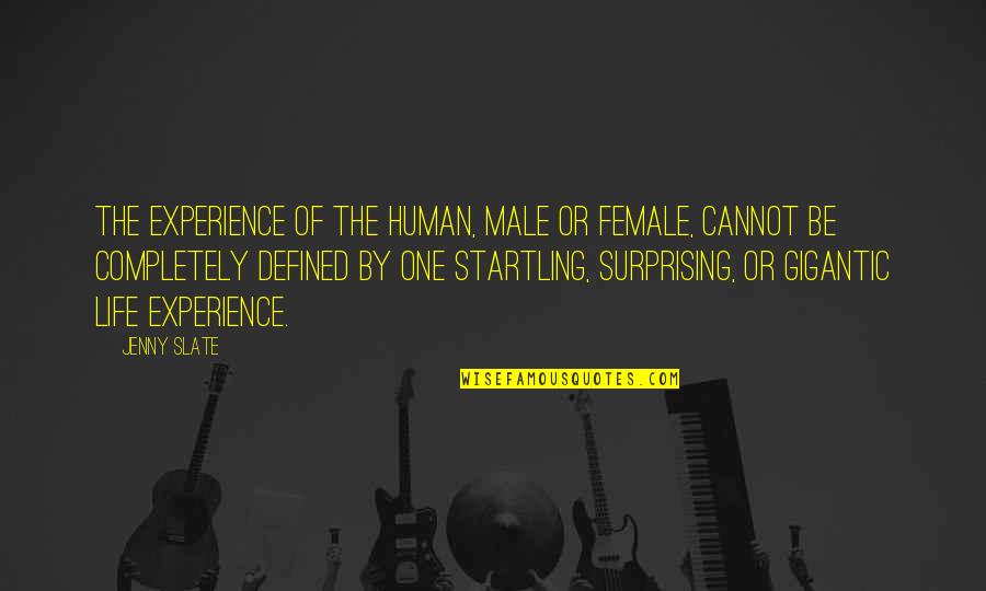 Gordon Gould Quotes By Jenny Slate: The experience of the human, male or female,