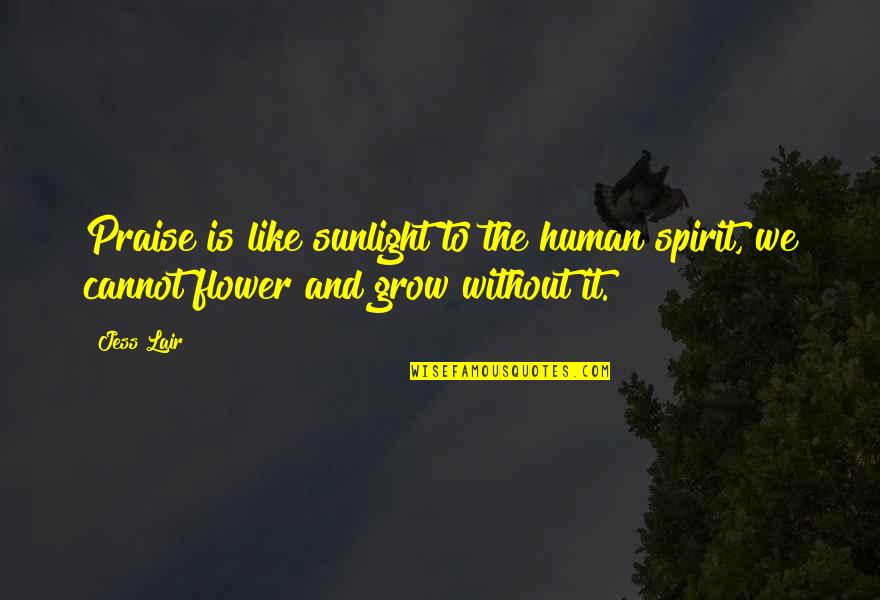 Gosch Hemet Quotes By Jess Lair: Praise is like sunlight to the human spirit,