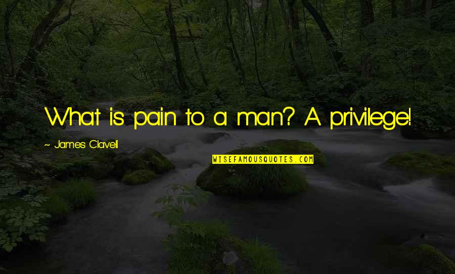 Gotiaoco Building Quotes By James Clavell: What is pain to a man? A privilege!