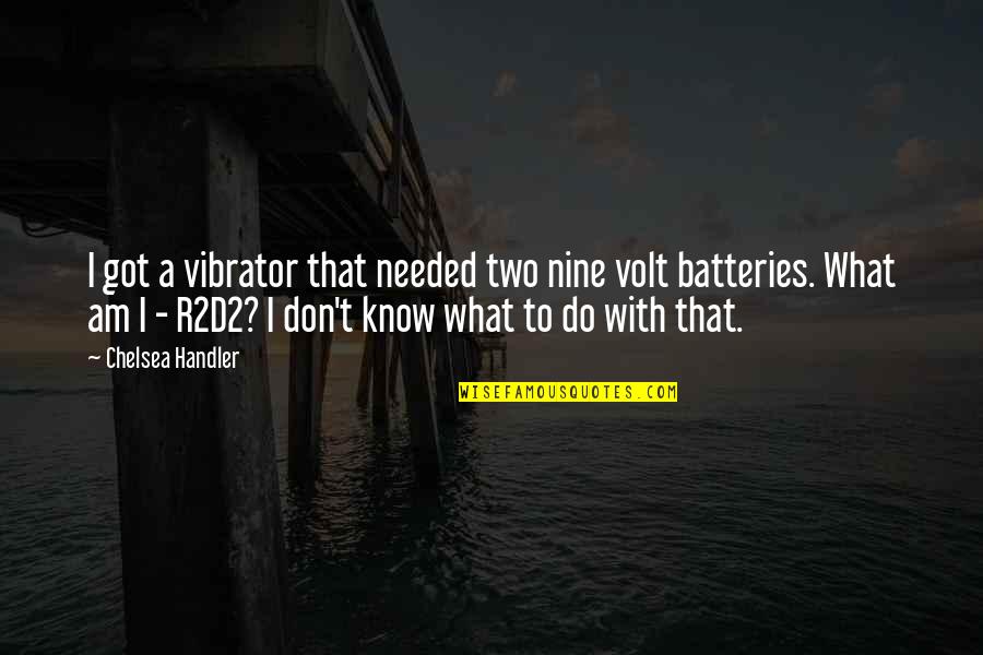 Got'round Quotes By Chelsea Handler: I got a vibrator that needed two nine