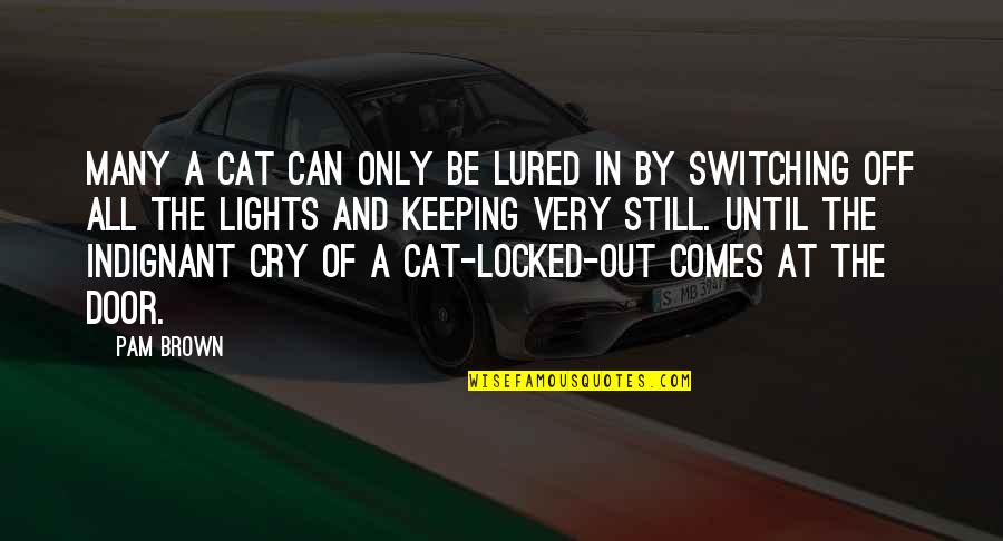 Government Complacency Quotes By Pam Brown: Many a cat can only be lured in