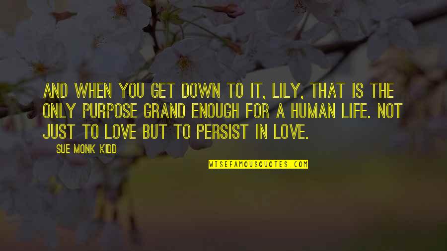 Grand Love Quotes By Sue Monk Kidd: And when you get down to it, Lily,