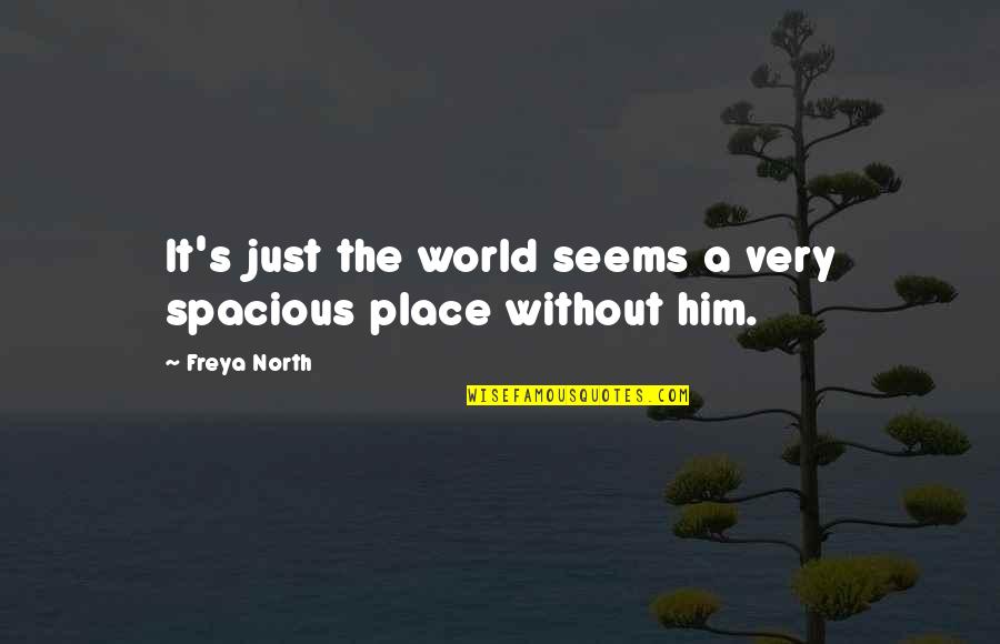 Grandiere Quotes By Freya North: It's just the world seems a very spacious