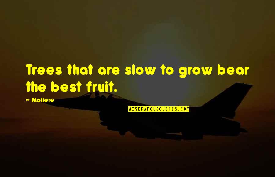 Grandma Grandchild Quotes By Moliere: Trees that are slow to grow bear the