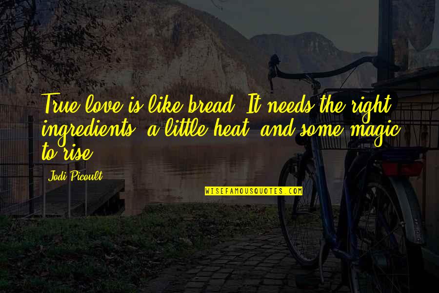 Granicia Quotes By Jodi Picoult: True love is like bread. It needs the