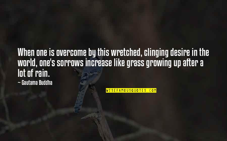 Grass Growing Quotes By Gautama Buddha: When one is overcome by this wretched, clinging