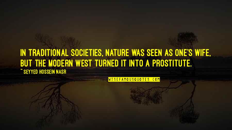 Graylyn Meadows Quotes By Seyyed Hossein Nasr: In traditional societies, nature was seen as one's