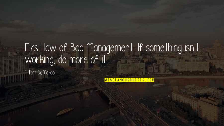 Great Flight Of The Conchords Quotes By Tom DeMarco: First law of Bad Management: If something isn't