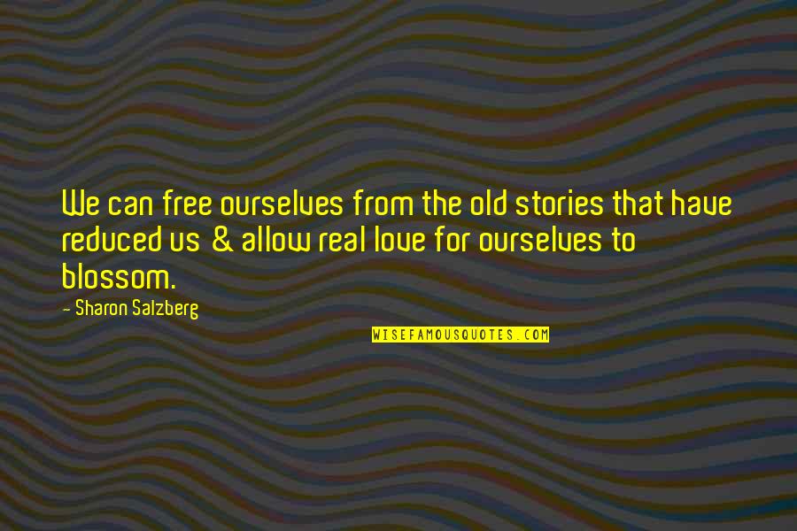 Great Sapiens Quotes By Sharon Salzberg: We can free ourselves from the old stories