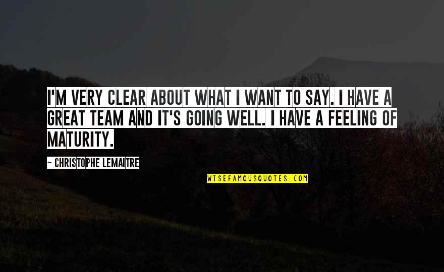 Great Team Quotes By Christophe Lemaitre: I'm very clear about what I want to