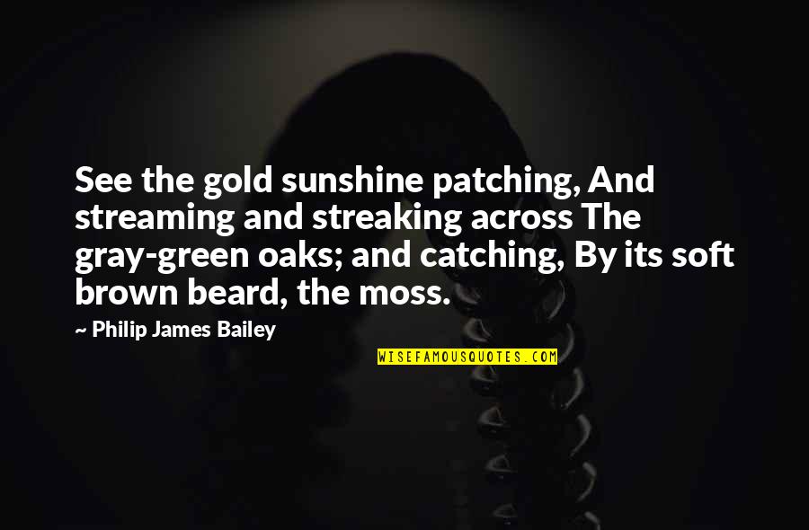 Green Moss Quotes By Philip James Bailey: See the gold sunshine patching, And streaming and