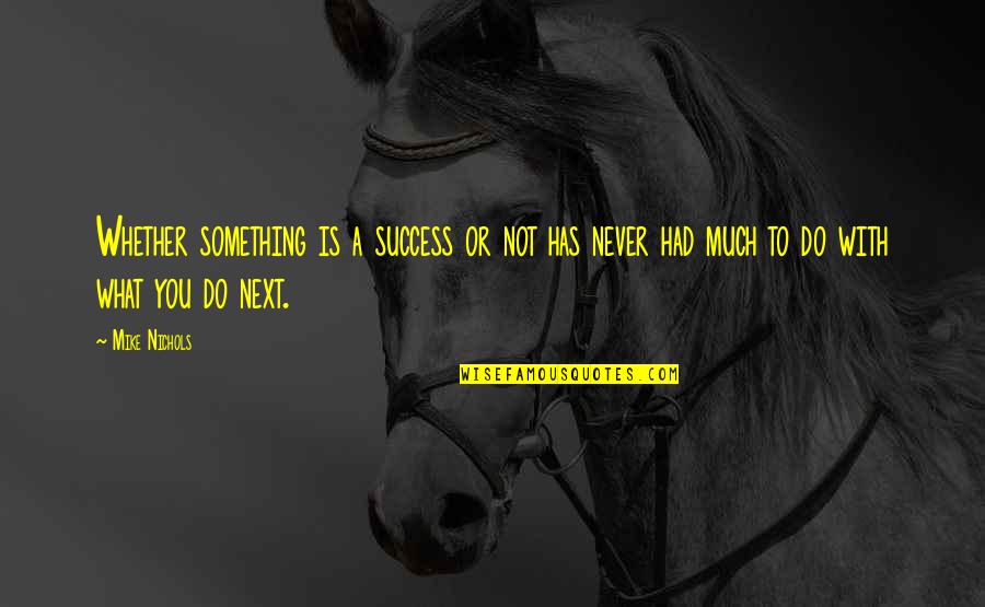 Grey's Anatomy Sad Love Quotes By Mike Nichols: Whether something is a success or not has