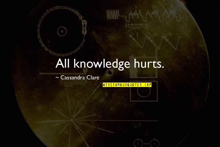 Greys Anatomy Season 11 Episode 18 Quotes By Cassandra Clare: All knowledge hurts.