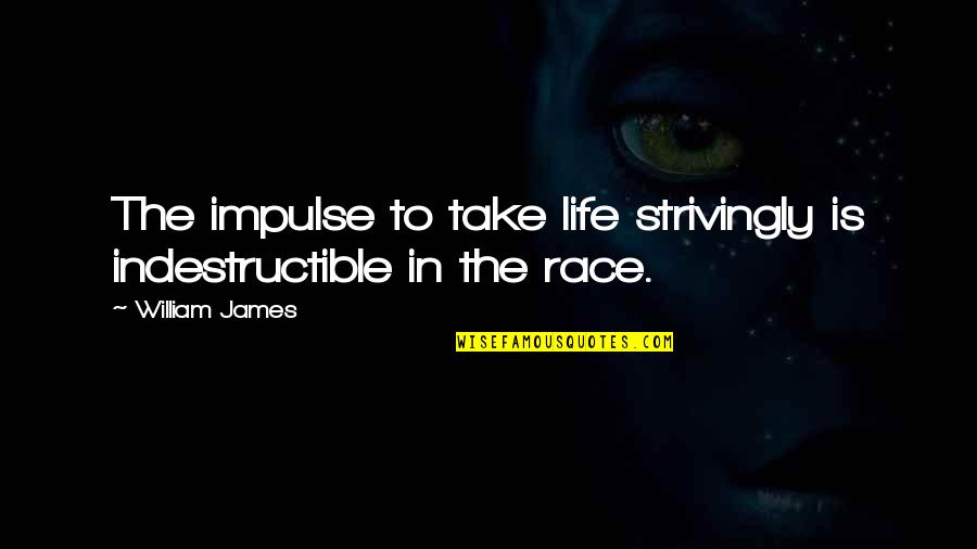 Grishko Dream Quotes By William James: The impulse to take life strivingly is indestructible