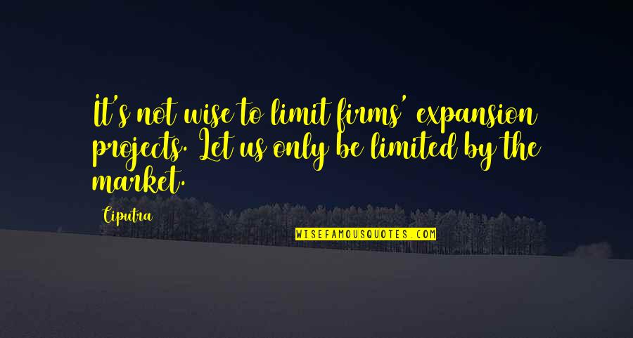 Griswold Family Christmas Quotes By Ciputra: It's not wise to limit firms' expansion projects.