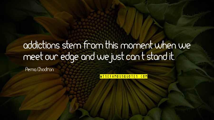 Grit And Determination Quotes By Pema Chodron: addictions stem from this moment when we meet