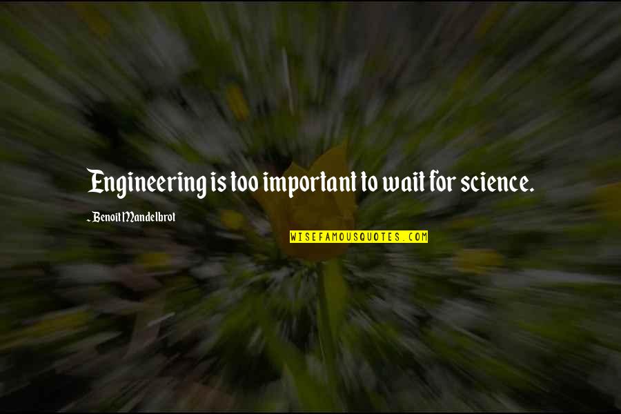 Grnlllll's Quotes By Benoit Mandelbrot: Engineering is too important to wait for science.