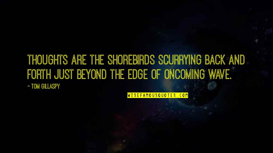 Groene Energie Quotes By Tom Gillaspy: Thoughts are the shorebirds scurrying back and forth